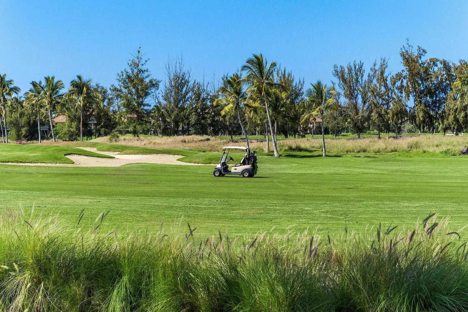 Waikoloa Beach Villas F32 Estados Unidos